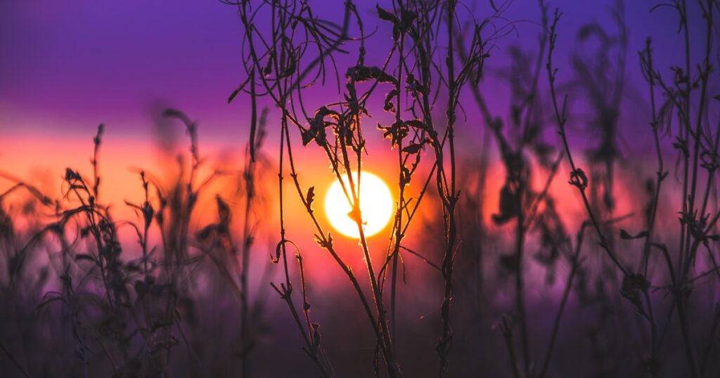 The State of AI Hiring 2026 - CurriculoATS Blog